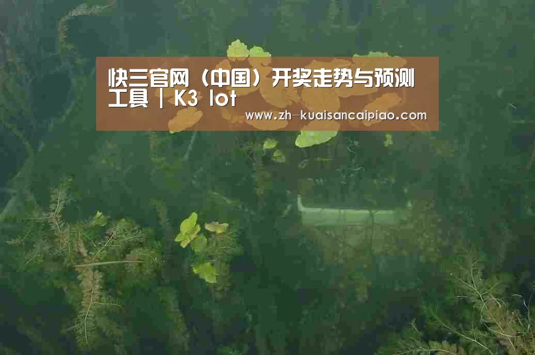 案例展示三