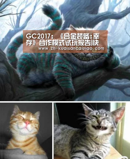 快三彩票